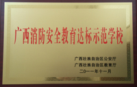 广西消防安全教育达标示范学校